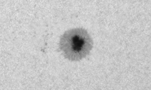 2024年1月19日の黒点（活動領域13549）