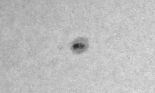 2024年1月19日の黒点（活動領域13556）