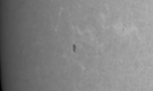 2024年1月19日の黒点（活動領域13560）