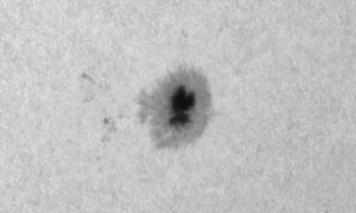 2024年1月20日の黒点（活動領域13549）