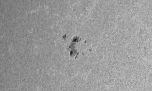 2024年1月23日の黒点（活動領域13565）