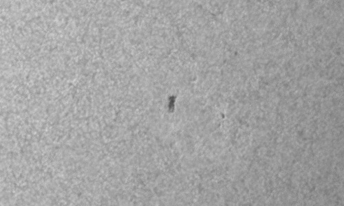 2024年1月23日の黒点（活動領域13566）