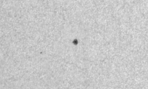 2024年1月23日の黒点（活動領域13569）