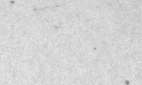 2024年2月5日の黒点（活動領域13567）