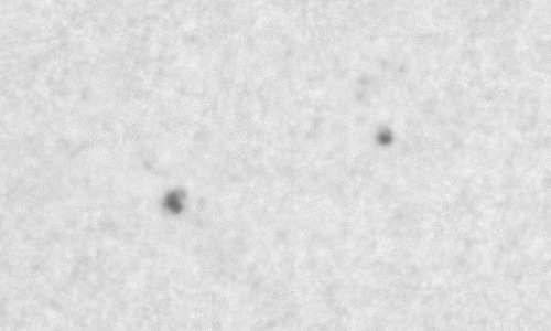 2024年2月5日の黒点（活動領域13570）