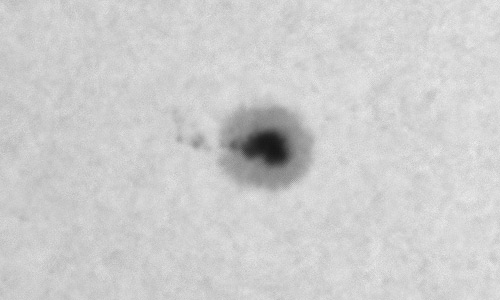 2024年2月5日の黒点（活動領域13571）