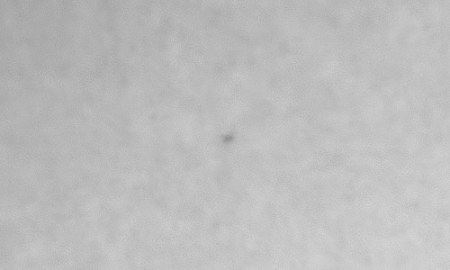 2024年2月5日の黒点（活動領域13577）