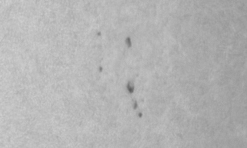 2024年2月6日の黒点（活動領域13565）