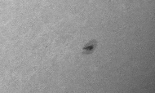 2024年2月11日の黒点（活動領域13571）