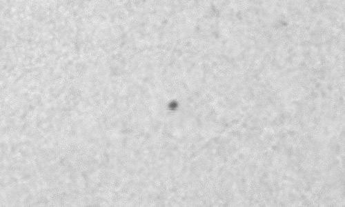 2024年2月12日の黒点（活動領域13579）