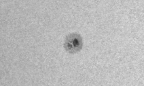 2024年2月12日の黒点（活動領域13581）