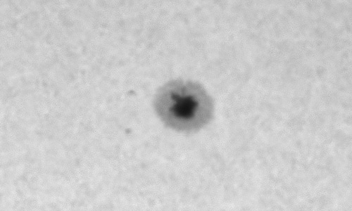 2024年2月20日の黒点（活動領域13586）