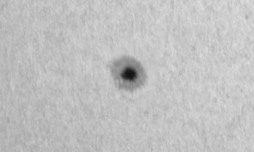 2024年2月28日の黒点（活動領域13591）