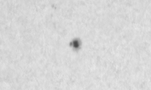 2024年2月28日の黒点（活動領域13594）