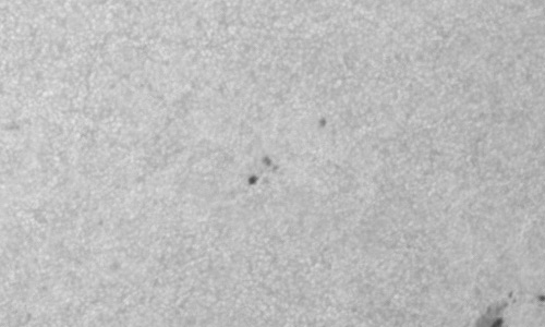 2024年3月3日の黒点（活動領域13592）