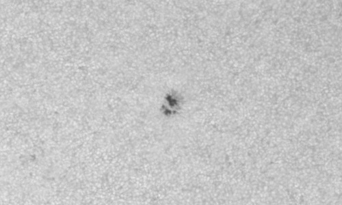 2024年3月3日の黒点（活動領域13596）