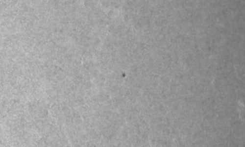 2024年3月6日の黒点（活動領域13596）