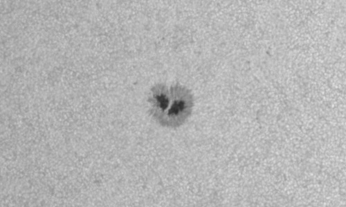 2024年3月6日の黒点（活動領域13600）