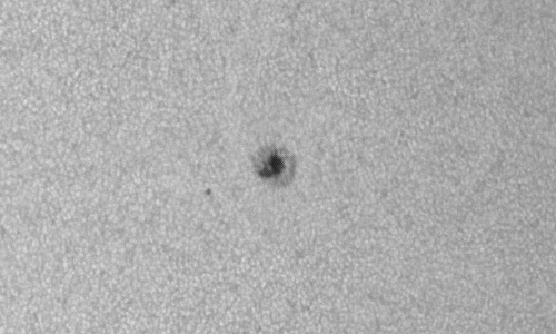 2024年3月9日の黒点（活動領域13602）