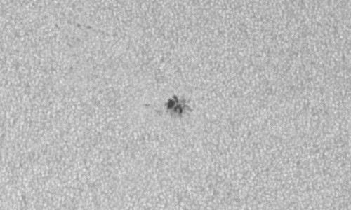 2024年3月9日の黒点（活動領域13603）