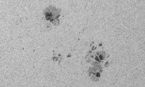 2024年3月10日の黒点（活動領域13599）