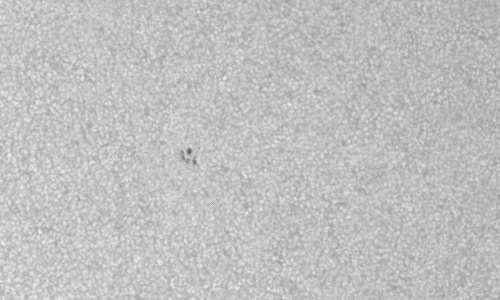 2024年3月10日の黒点（活動領域13603）