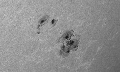 2024年3月12日の黒点（活動領域13599）