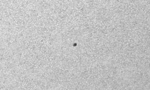 2024年3月12日の黒点（活動領域13605）