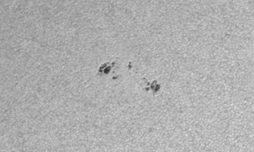 2024年3月12日の黒点（活動領域13606）