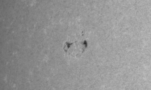 2024年3月12日の黒点（活動領域13607）