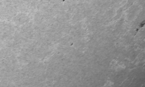 2024年3月13日の黒点（活動領域13600）