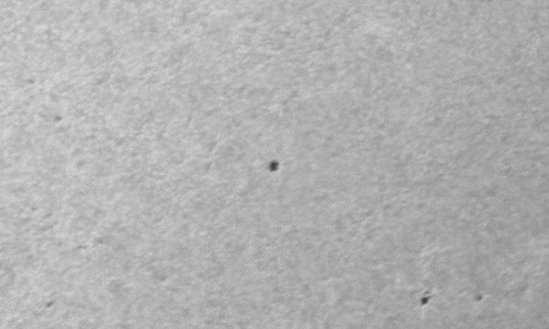 2024年3月13日の黒点（活動領域13605）