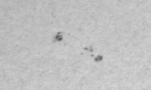 2024年3月13日の黒点（活動領域13606）