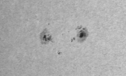 2024年3月13日の黒点（活動領域13607）