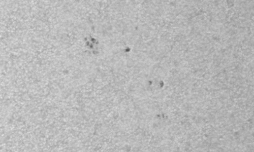 2024年3月19日の黒点（活動領域13608）