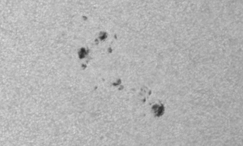 2024年3月19日の黒点（活動領域13616）