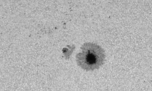 2024年3月22日の黒点（活動領域13614）