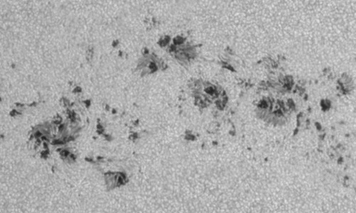 2024年3月22日の黒点（活動領域13615）