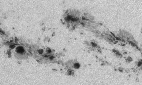 2024年3月23日の黒点（活動領域13615）