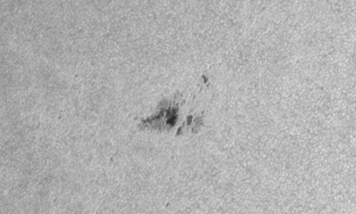 2024年3月23日の黒点（活動領域13617）