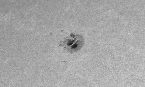 2024年3月23日の黒点（活動領域13619）