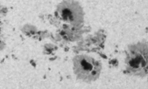 2024年3月25日の黒点（活動領域13615）