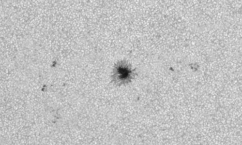 2024年3月26日の黒点（活動領域13617）