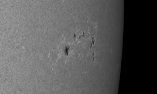 2024年3月26日の黒点（活動領域13621）