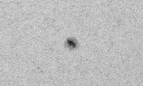 2024年3月27日の黒点（活動領域13617）