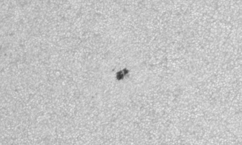 2024年3月27日の黒点（活動領域13620）