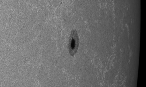 2024年3月28日の黒点（活動領域13614）