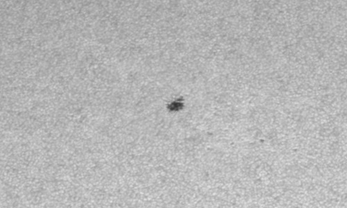 2024年4月7日の黒点（活動領域13632）