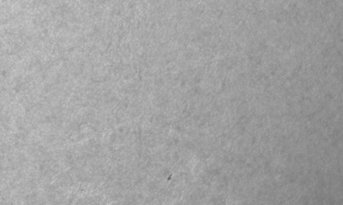 2024年4月8日の黒点（活動領域13630）