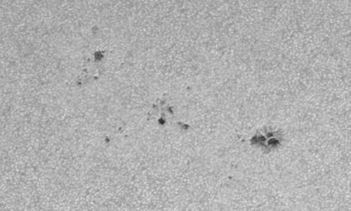 2024年4月13日の黒点（活動領域13635）